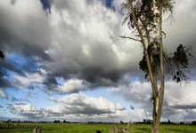 东升国际官网：镜报：范戴克赛前爆粗鼓励队友被拍，天空体育、ITV因此道歉.