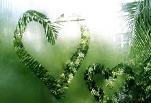 东升国际官网：追光丨CBA全明星30年：致敬历史，期待未来.