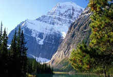 东升国际官网：卡塔尔0比5不敌阿联酋 6场比赛丢17球超越国足.